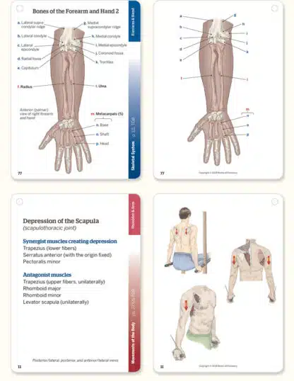Trail Guide to the Body Complete Student Package - Image 10