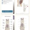 Trail Guide to the Body Complete Student Package - Image 9