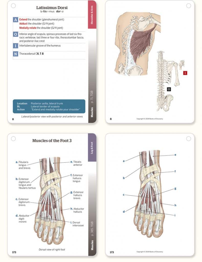 Trail Guide To The Body 6th Edition