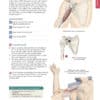 Trail Guide to the Body Complete Student Package - Image 3