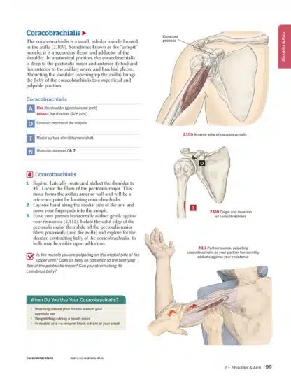 Trail Guide to the Body Complete Student Package - Image 3