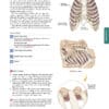 Trail Guide to the Body Essentials - Image 3