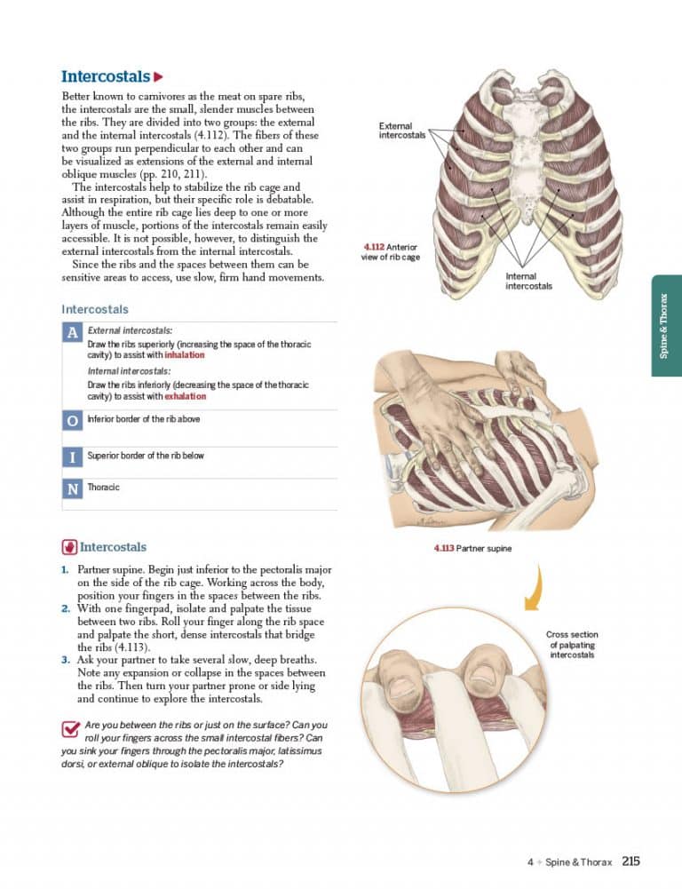 Trail Guide to the Body Essentials