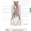 Trail Guide to the Body Student Workbook, 6th Edition - Image 7