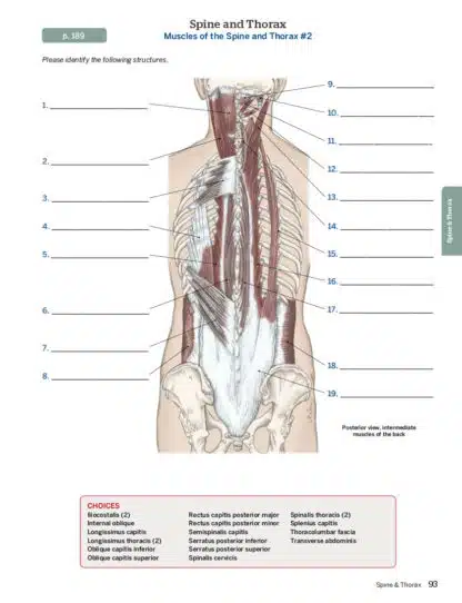 Trail Guide to the Body Complete Student Package - Image 6