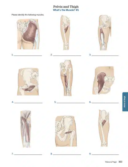 Trail Guide to the Body Complete Student Package - Image 5