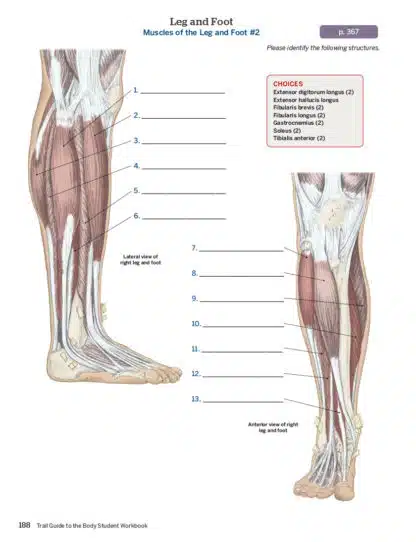 Trail Guide to the Body Complete Student Package - Image 8