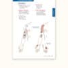 Trail Guide to the Body's Quick Reference to Trigger Points - Image 4