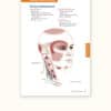 Trail Guide to the Body's Quick Reference to Trigger Points - Image 2