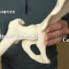 Trail Guide to Movement Video Series (streaming video) - Image 2
