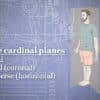 Trail Guide to Movement Video Series (streaming video) - Image 3