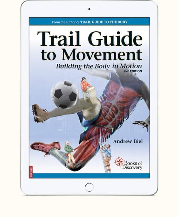 Trail Guide To Movement Archives trail-guide-to-movement-archives