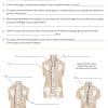 Trail Guide to the Body Complete Student Package - Image 7