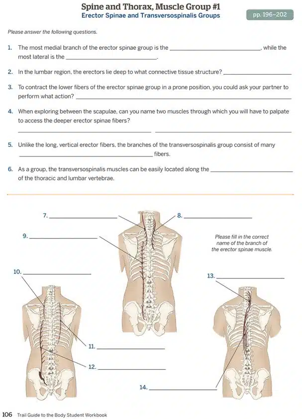 Trail Guide to the Body Complete Student Package - Image 7