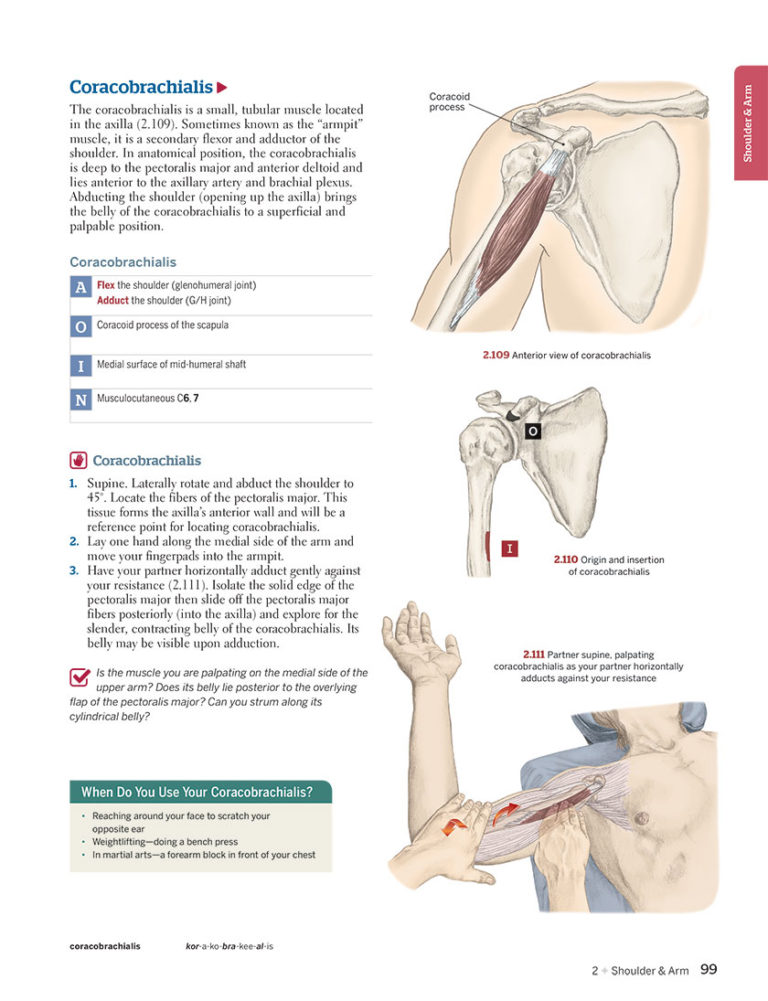 Trail Guide to the Body, 6th Edition - Books of Discovery