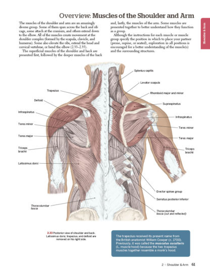 Trail Guide to the Body, 6th Edition - Books of Discovery