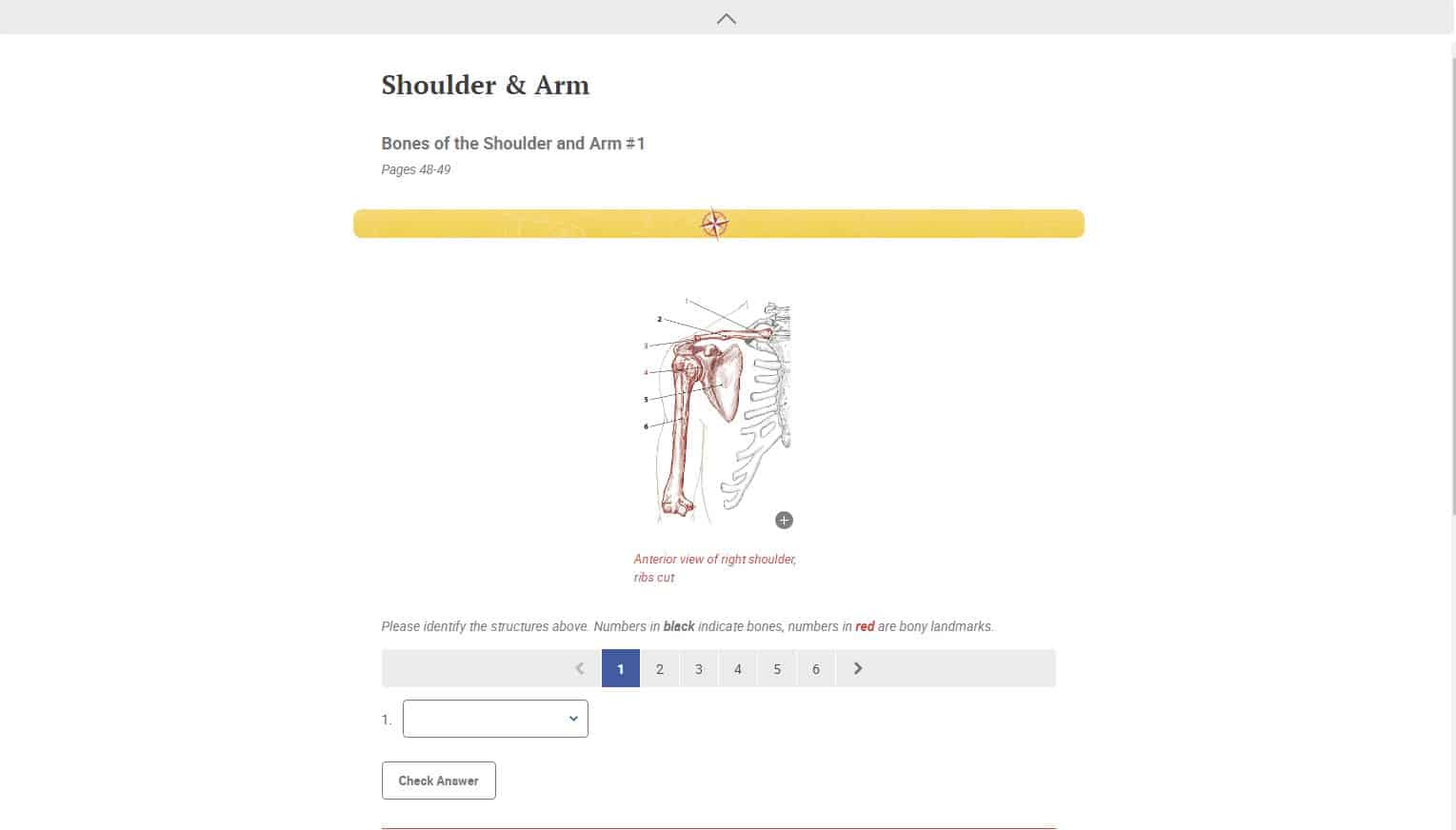 Trail Guide To The Body 6th Edition Digital Student Workbook Trail Guide To The Body 6th Edition Digital Student Workbook