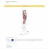 Trail Guide to the Body, 6th Edition, Digital Student Workbook - Image 5