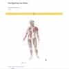 Trail Guide to the Body, 6th Edition, Digital Student Workbook - Image 3