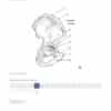 Trail Guide to the Body, 6th Edition, Digital Student Workbook - Image 2