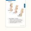 Trail Guide to the Body's Quick Reference to Stretch & Strengthen - Image 2