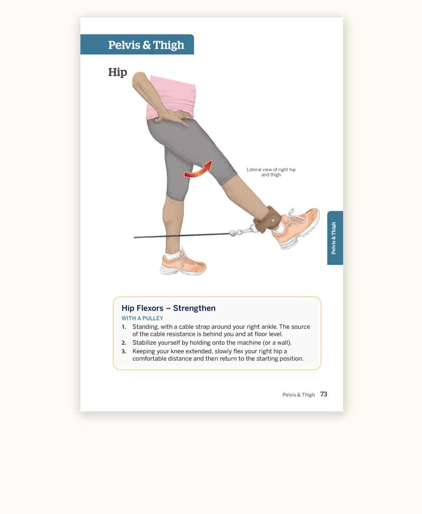 Trail Guide To The Body s Quick Reference To Stretch Strengthen Trail Guide To The Body s Quick Reference To Stretch Strengthen