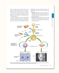 Applied Anatomy & Physiology for Manual Therapists, 2nd Edition