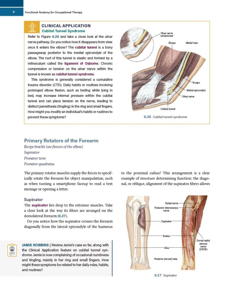 Shop Functional Anatomy for Occupational Therapy