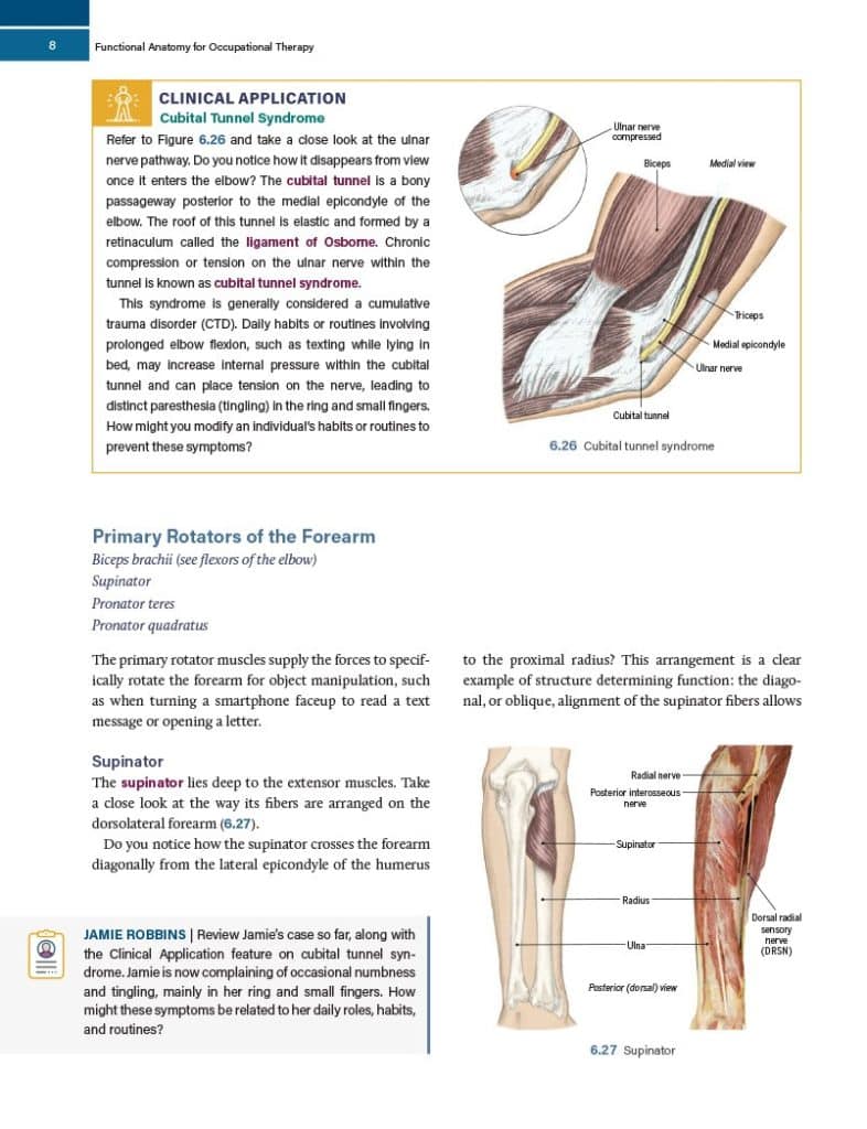 Therapy Anatomy Charts