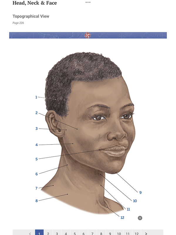 Trail Guide to the Body, 7th Edition, Digital Student Workbook - Image 5