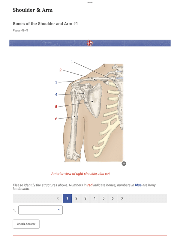 Trail Guide to the Body, 7th Edition, Digital Student Workbook - Image 6